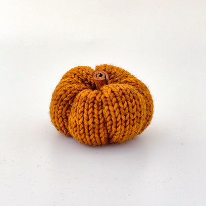 Thanksgiving Pumpkins