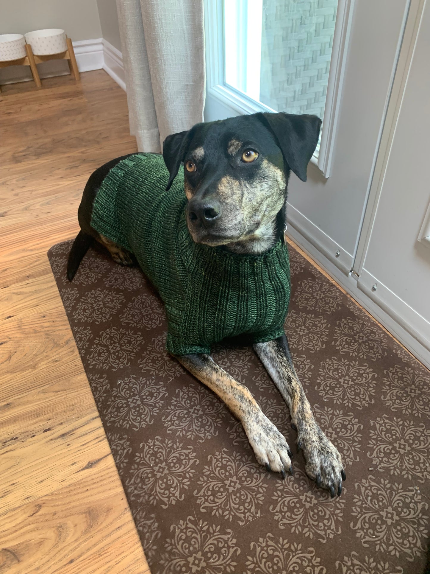 The Dog Days of Winter Sweater