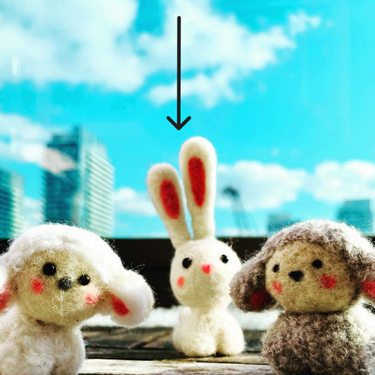 Ruby the Rabbit