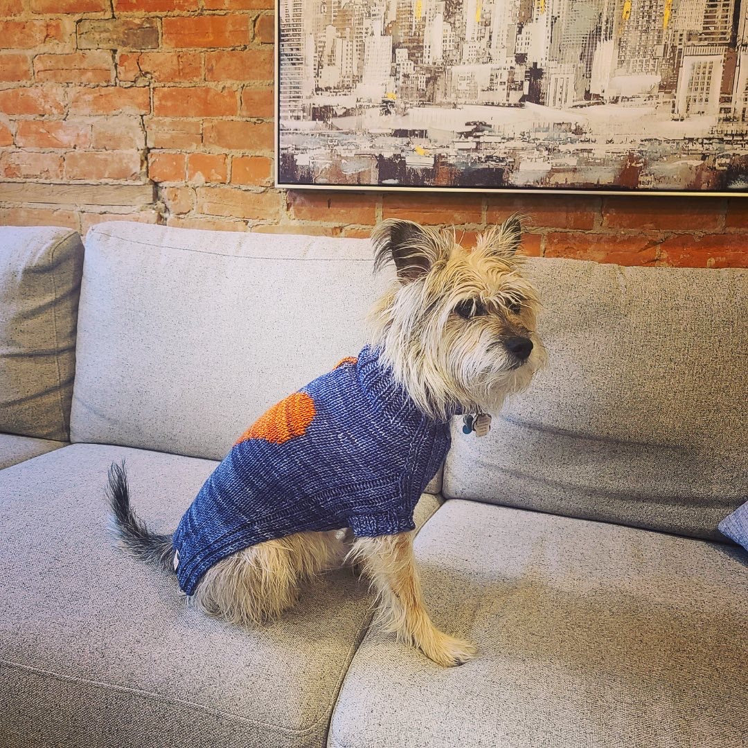 The Dog Days of Winter Sweater