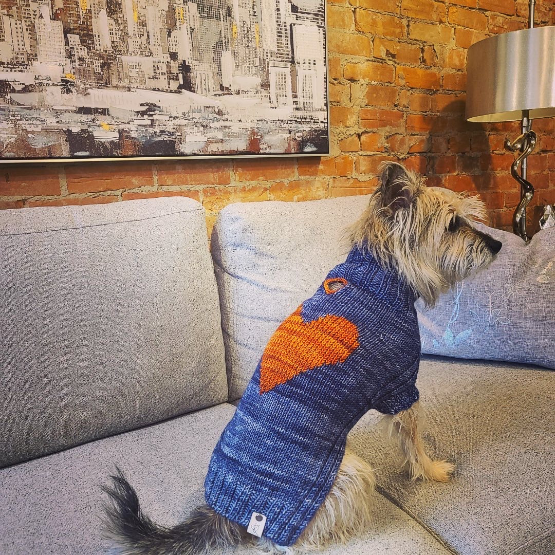 The Dog Days of Winter Sweater