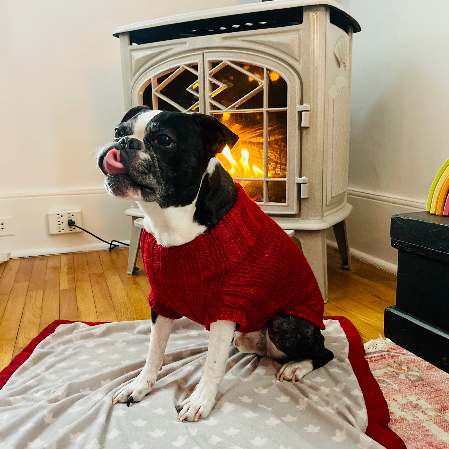 The Dog Days of Winter Sweater