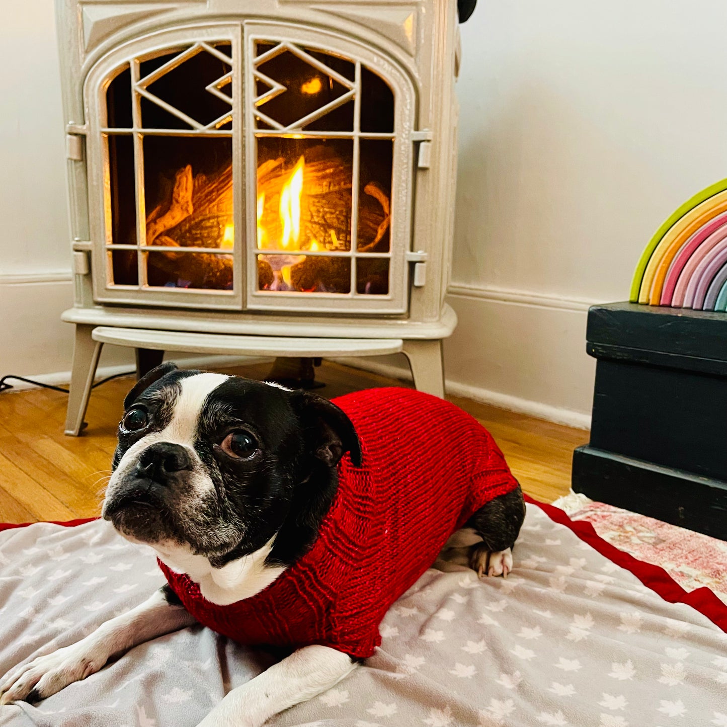 The Dog Days of Winter Sweater